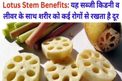 Lotus Stem Benefits