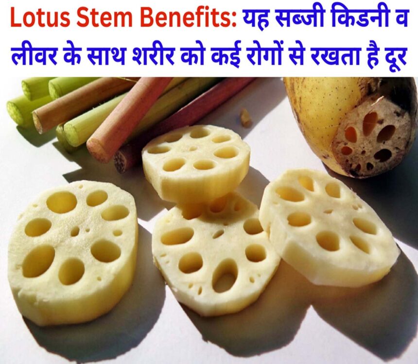 Lotus Stem Benefits