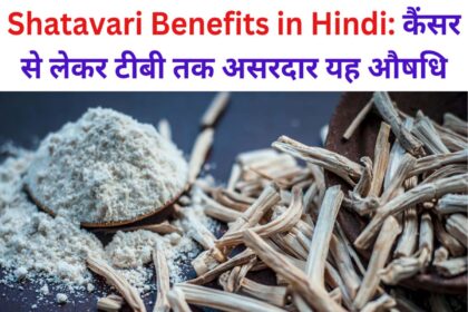 Shatavari Benefits in Hindi