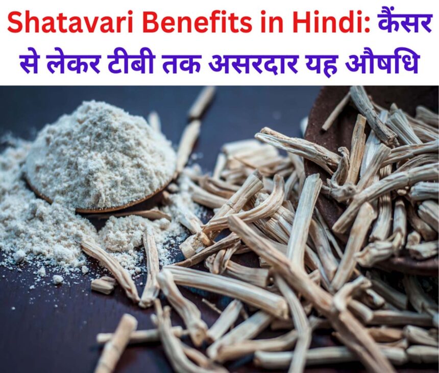 Shatavari Benefits in Hindi