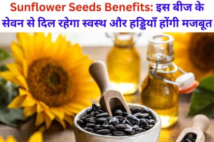 Sunflower Seeds Benefits in Hindi