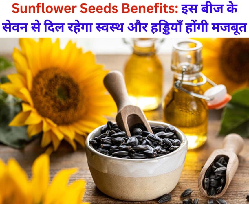 Sunflower Seeds Benefits in Hindi