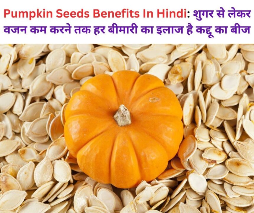 Pumpkin Seeds Benefits In Hindi