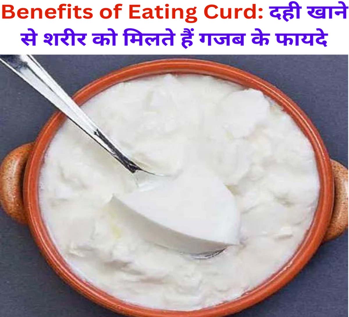 Benefits of Eating Curd