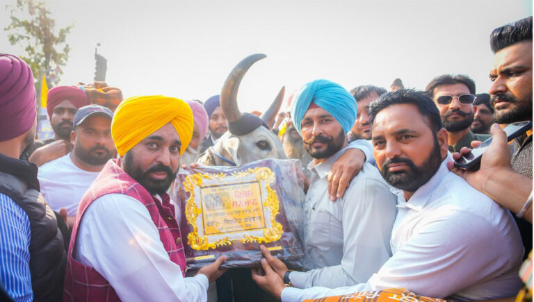 Bullock cart races were banned, but we started them again.
